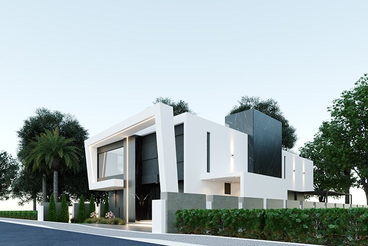 Portfolio Image